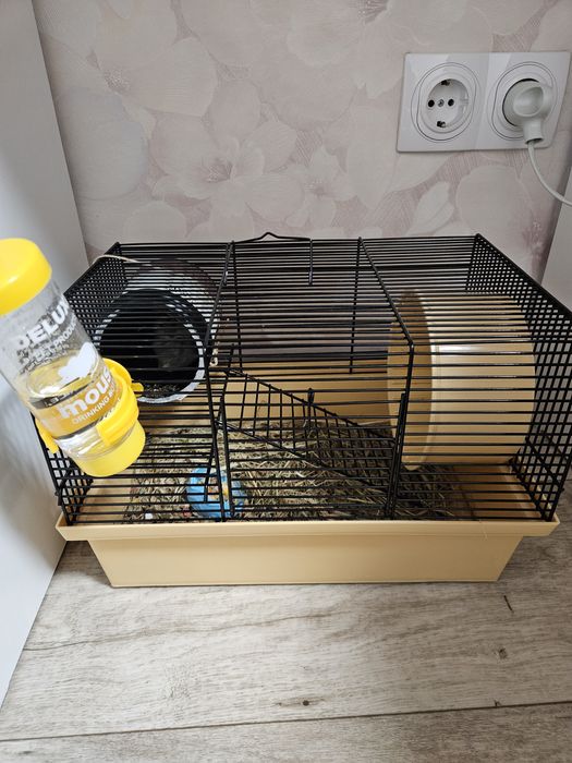 Джунгарські хом'яки 2шт +клітка+ поільник