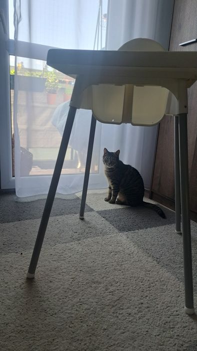 Krzesełko do karmienia ikea  białe