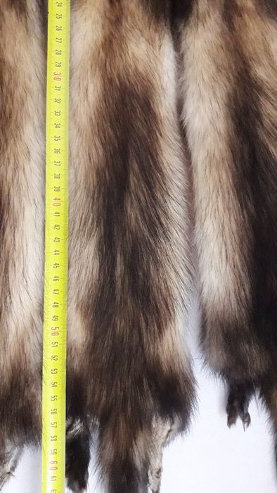 Продам шкіри норки та фредки.