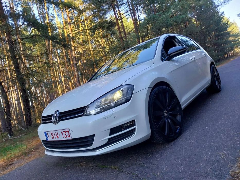 Volkswagen Golf Biała perła, alu 19, alkantara, bogata wersja