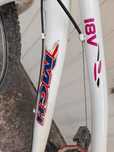 Bicicleta de montanha