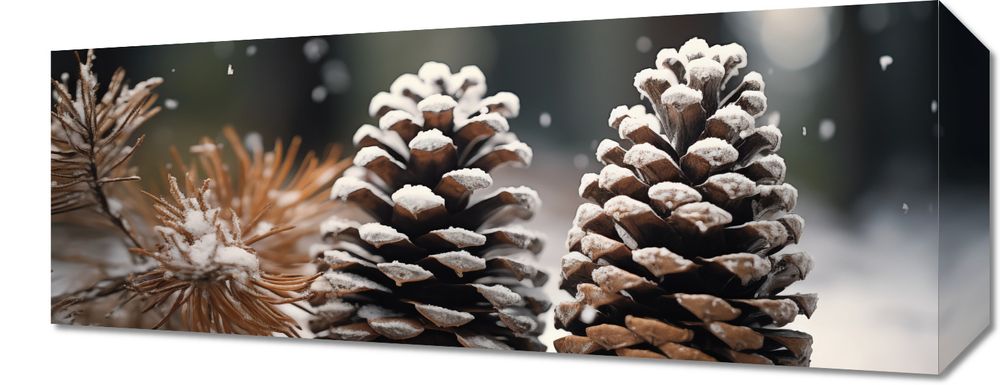 Obraz 50x20cm Zimowa Symetria