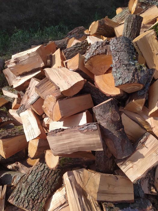 Olcha, Brzoza, Dąb, Buk, Grab kominkowy