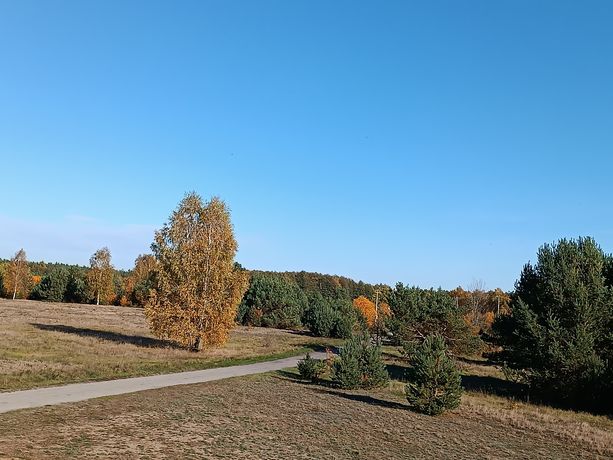 Działka Budowlana Cisza i Piękno Natury