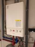 Immergas victrix exa
