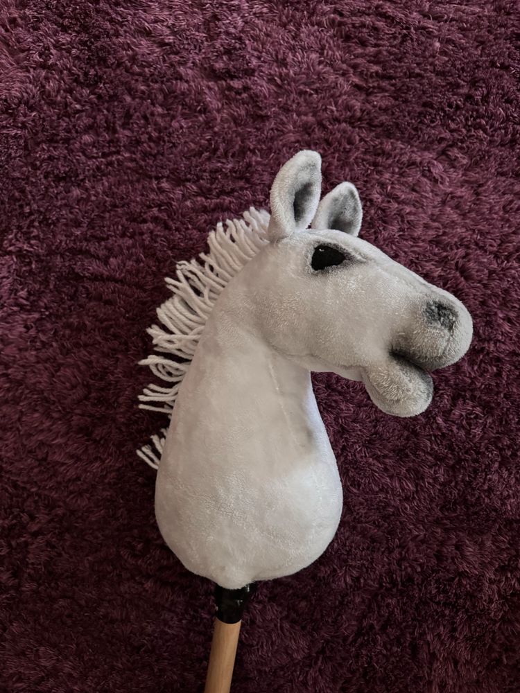 Hobby horse A4 jedyny w swoim rodzaju