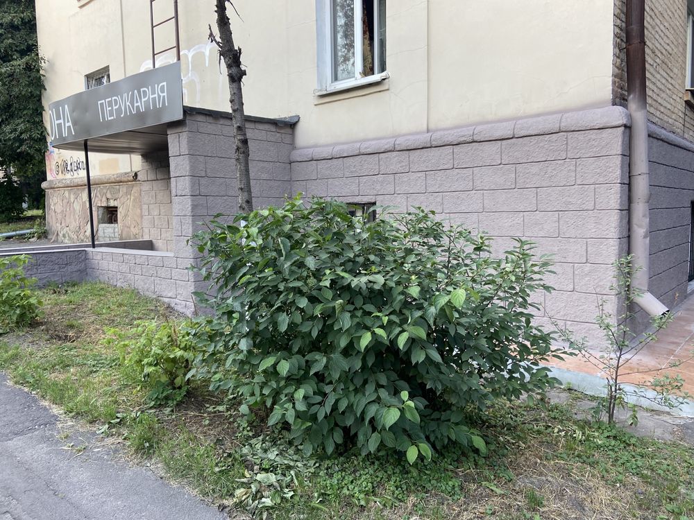 Продаж комерційного приміщення, вул Степана Бандери