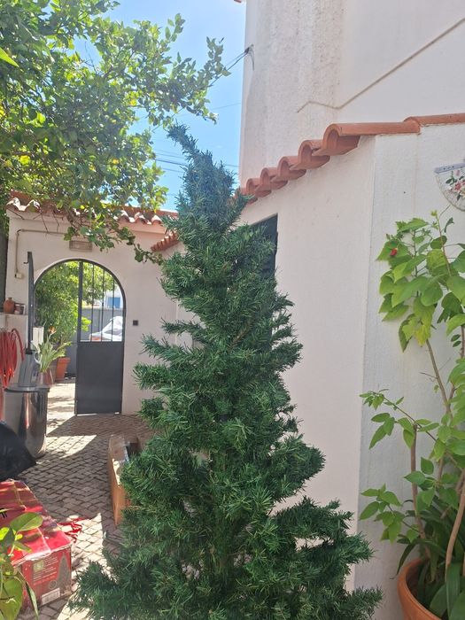 Arvore de natal completa