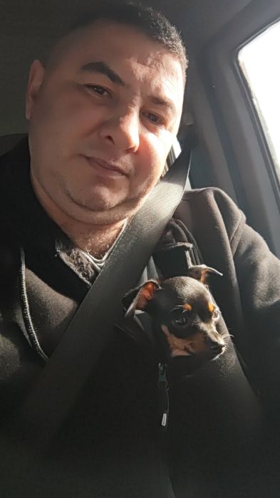 Шукаємо чисто кровнго міні той терераа девочку для вязкі