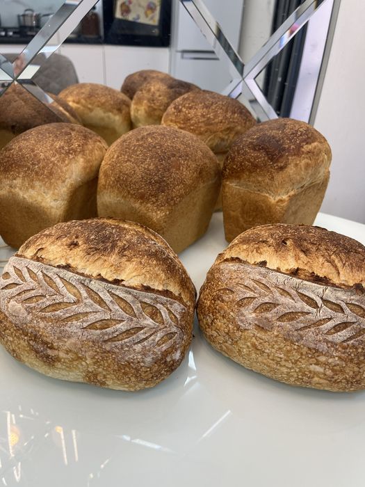 Рабочая, активная закваска для хлеба