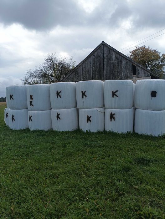 Sianokiszonka trawa/ koniczyna