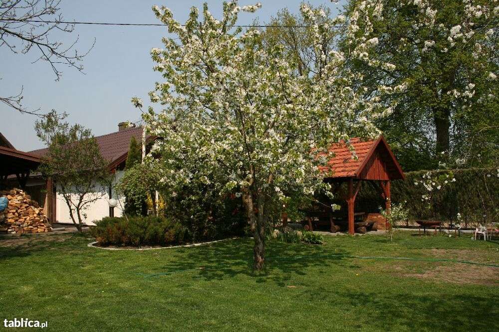 Domek nad jeziorem las  wakacje weekend basen majówka Bory Tucholskie