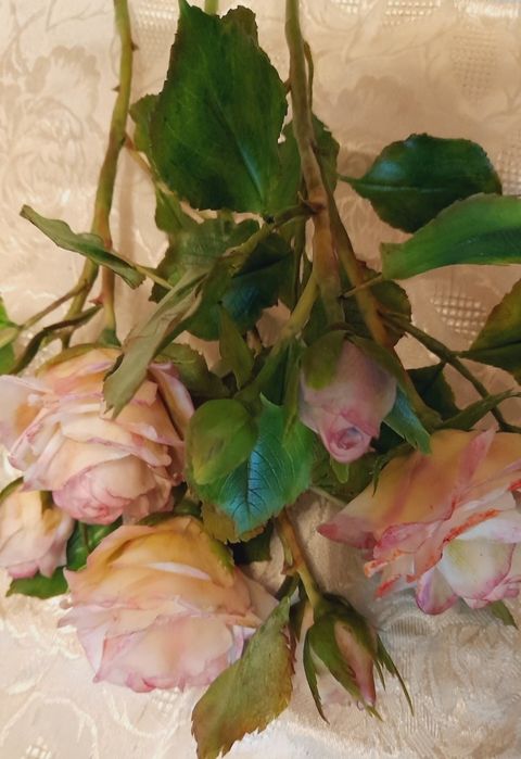 Шикарные розы ручной работы из холодного фарфора