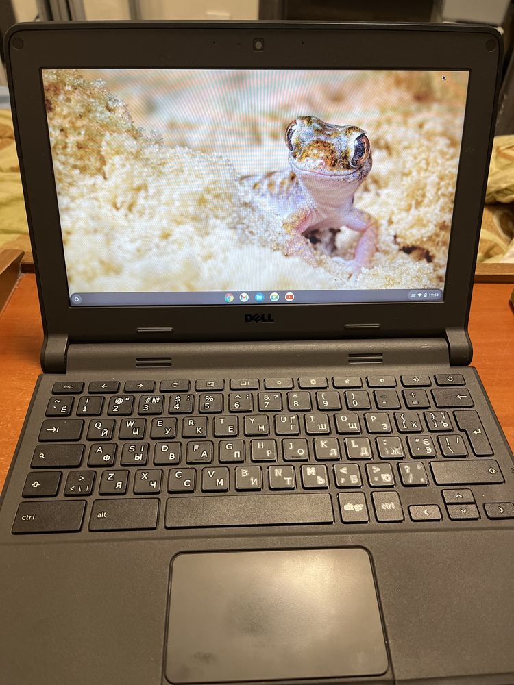 Dell chromebook 11 P22T