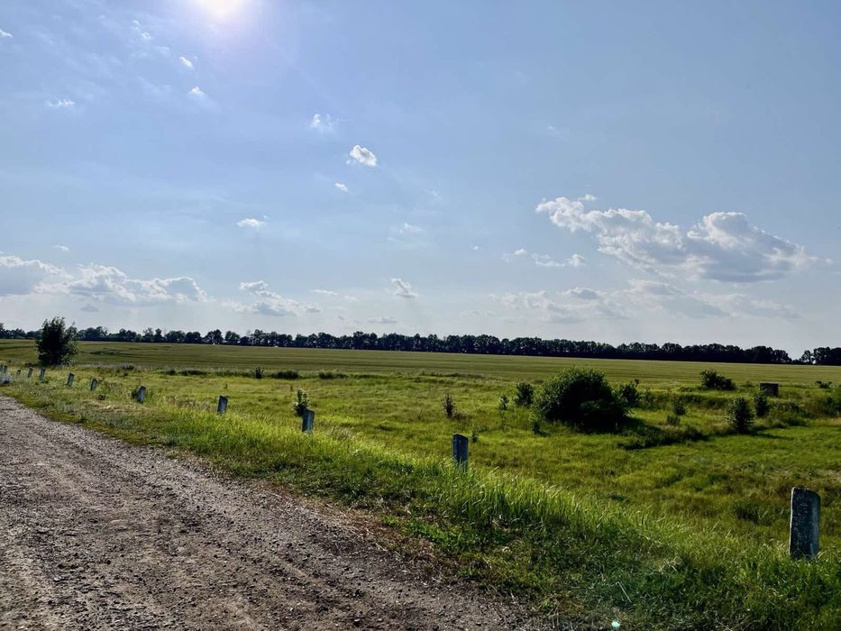 Продам землю 12 гектар 1000$ за га