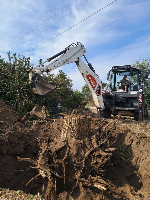 Расчистка участка, спил деревьев, демонтаж зданий-вывоз