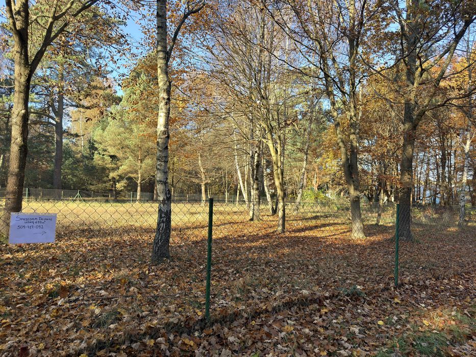 Dzialka leśna nad morzem Rozewie