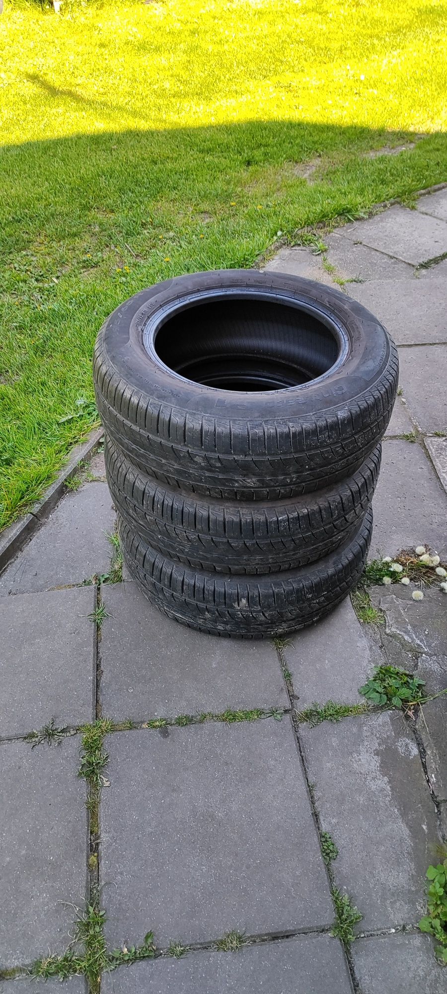 Opony pirelli letnie 195/65/R15