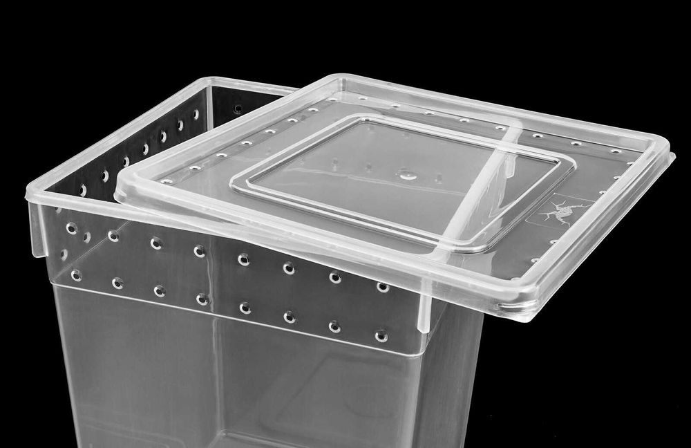 Terrarium dla ptasznika pojemnik hodowlany braplast 21x21x25cm pająk