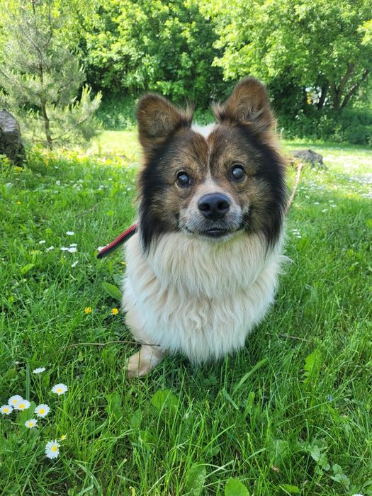 Świat powoli mu gaśnie… ale serce wciąż bije dla człowieka. Dom potrze