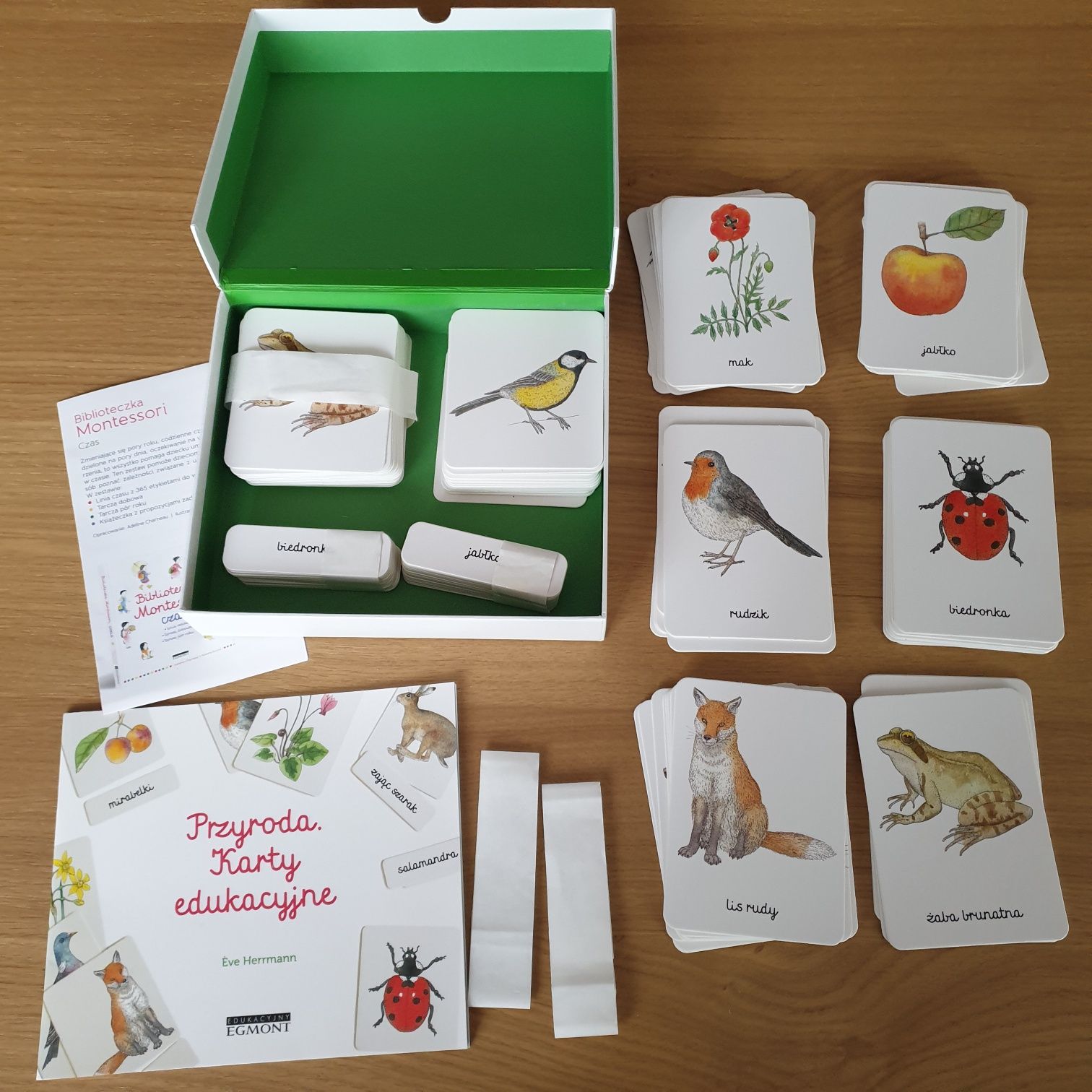 Biblioteczka Montessori Przyroda Egmont karty edukacyjne