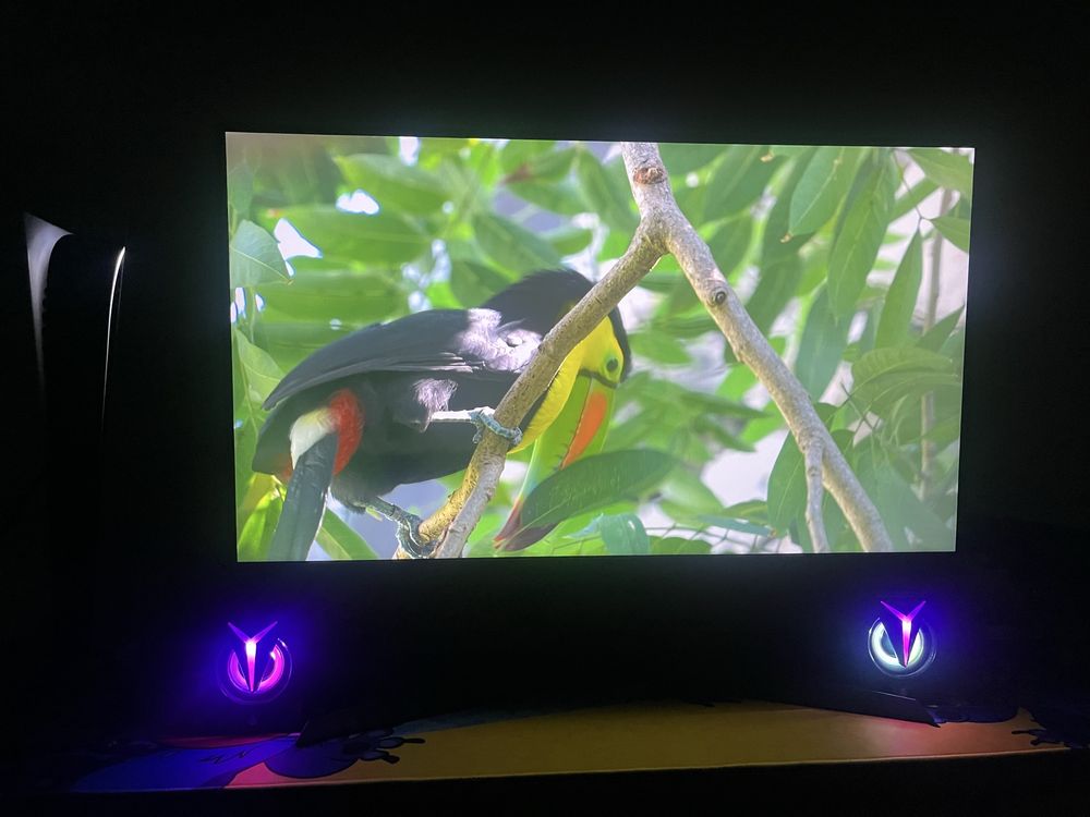 Monitor ultra gear