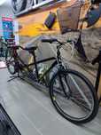 Bicicleta 2 lugares estado novo