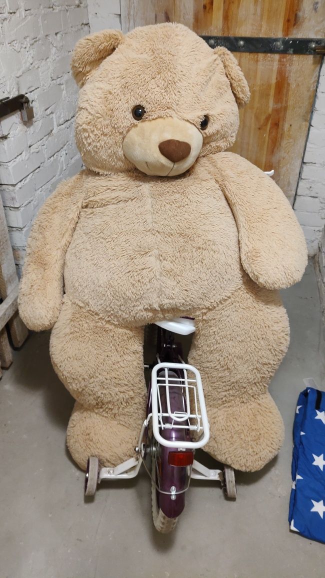 Misiek pluszowy 130/140 cm wysokości