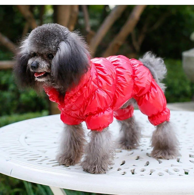 Нова куртка для собак, розмір m