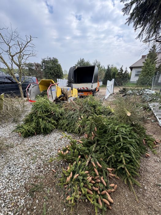 Usługi Rębakiem/Mielenie Gałęzi/Zrębkowanie/Rozdrabnianie - Stegna