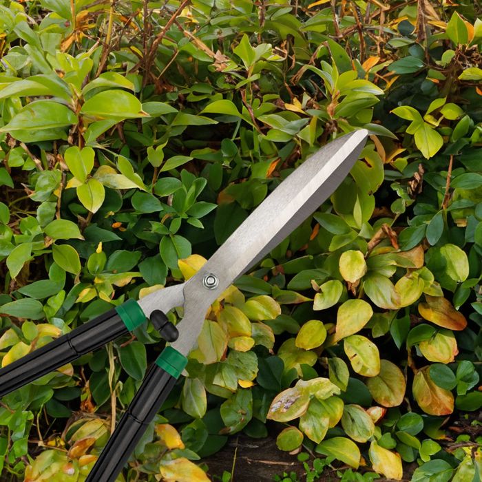 Nożyce Sekator do ogrodu, krzewów, drzew, duże, żywopłot