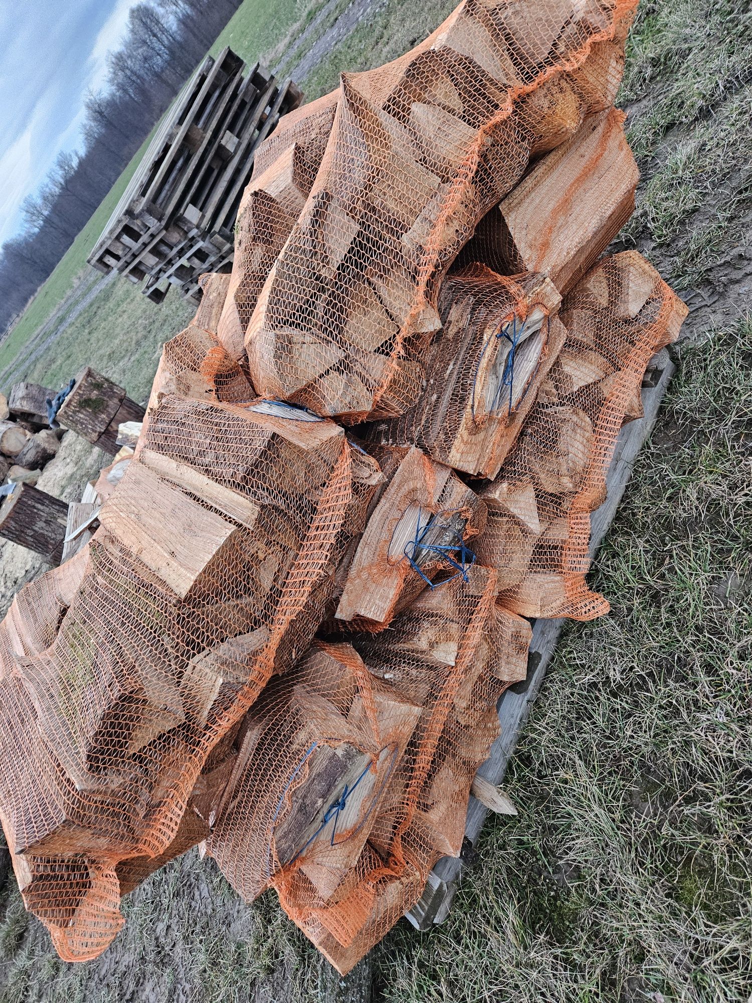 Suche sezonowane  Drewno opałowe kominkowe w workach duży worek 50x