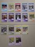 Cartas Super Animais 1 e 2 - Pingo Doce