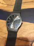 Мужские наручные часы Skagen 233XLTTM