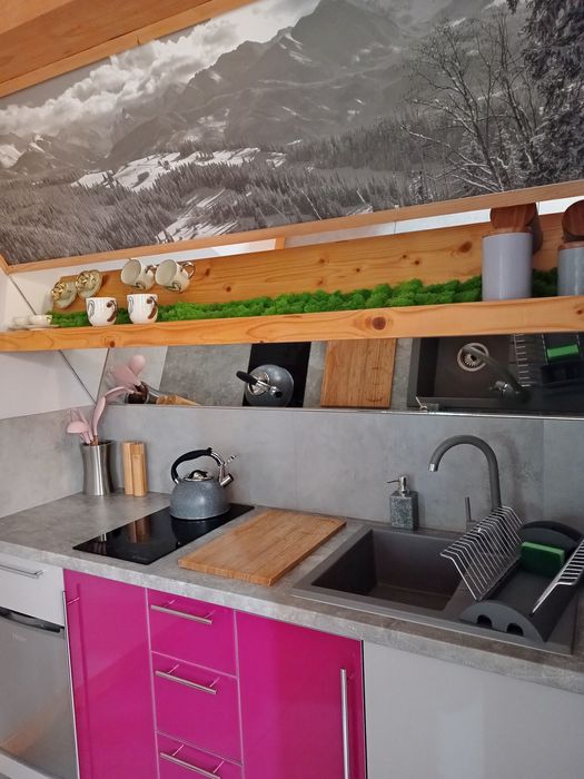 Domek z dwoma apartamentami z jacuzzi zewnętrzne k/Zakopane - Lux Hous