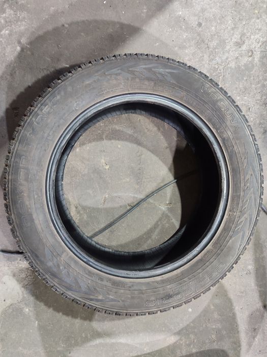 Резина зима 225.60.18 пара nokian