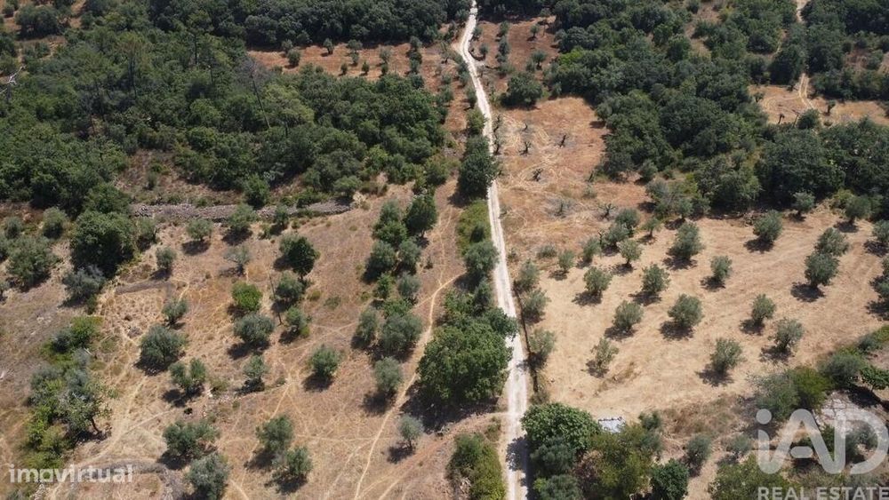 Terreno em Chãos de 32360,00 m2