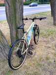 Rower Marin Bobcat Trail 4 2023