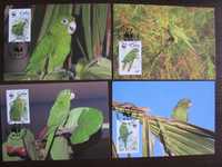 Kuba-Maxim karty-Ptaki, papugi-WWF