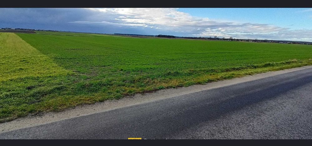 Działka 4.43 ha. RIVb-RV Domasłów, Perzów