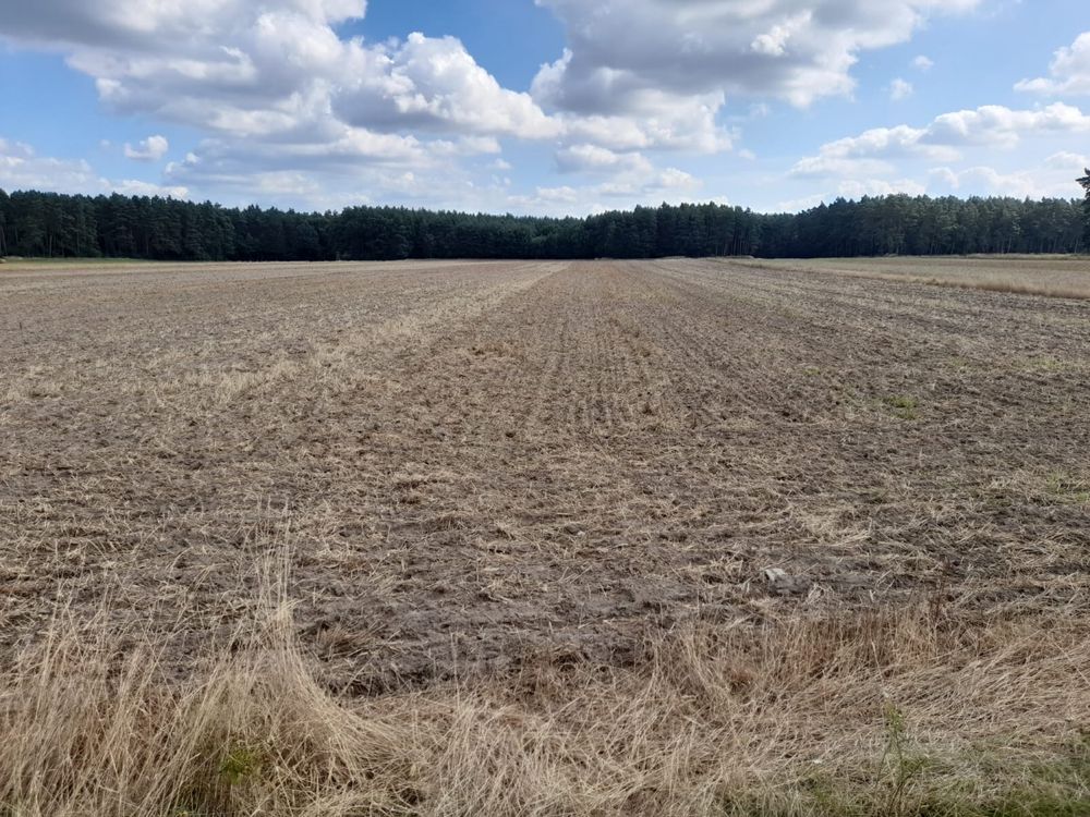 Działka /pole na sprzedaż 5,2 ha.wraz z lasem