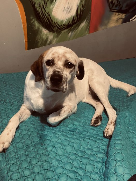 Mãe & filho (URGENTE)