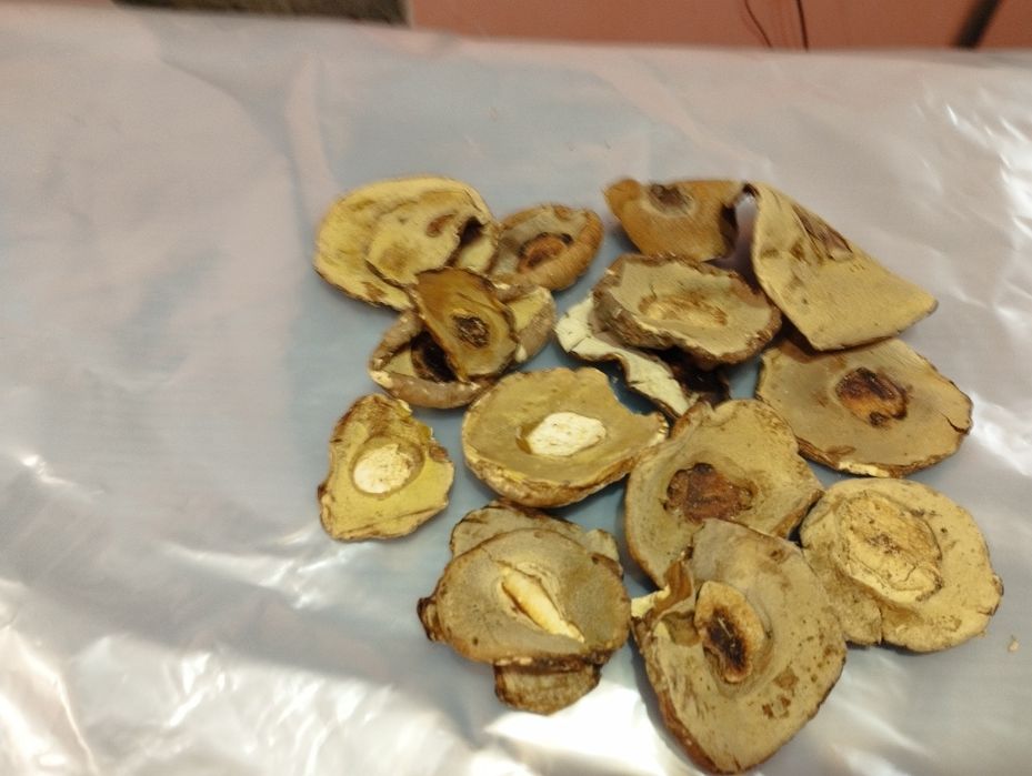 Білі гриби шапочка  ціна за кілограм