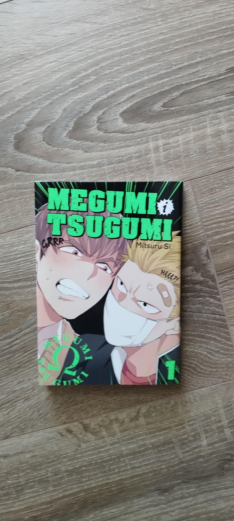 Manga Megumi i Tsugumi