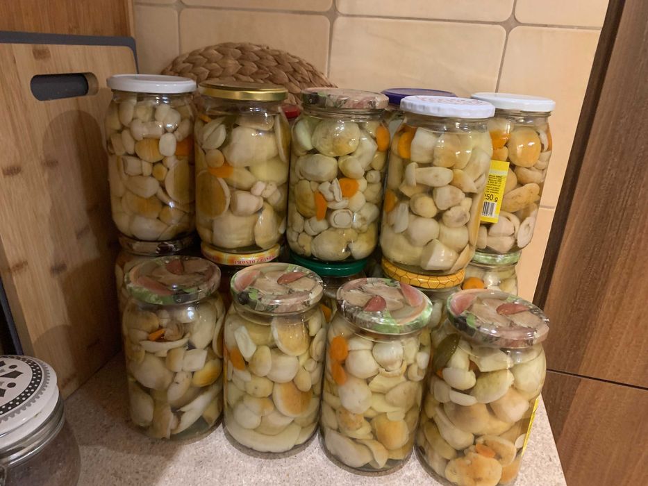 Zestaw 3*borowik szlachetny 0,9l