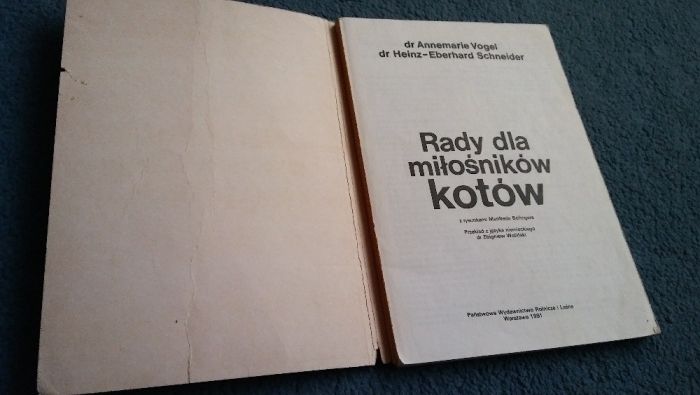 rady dla miłośników kotów vogel