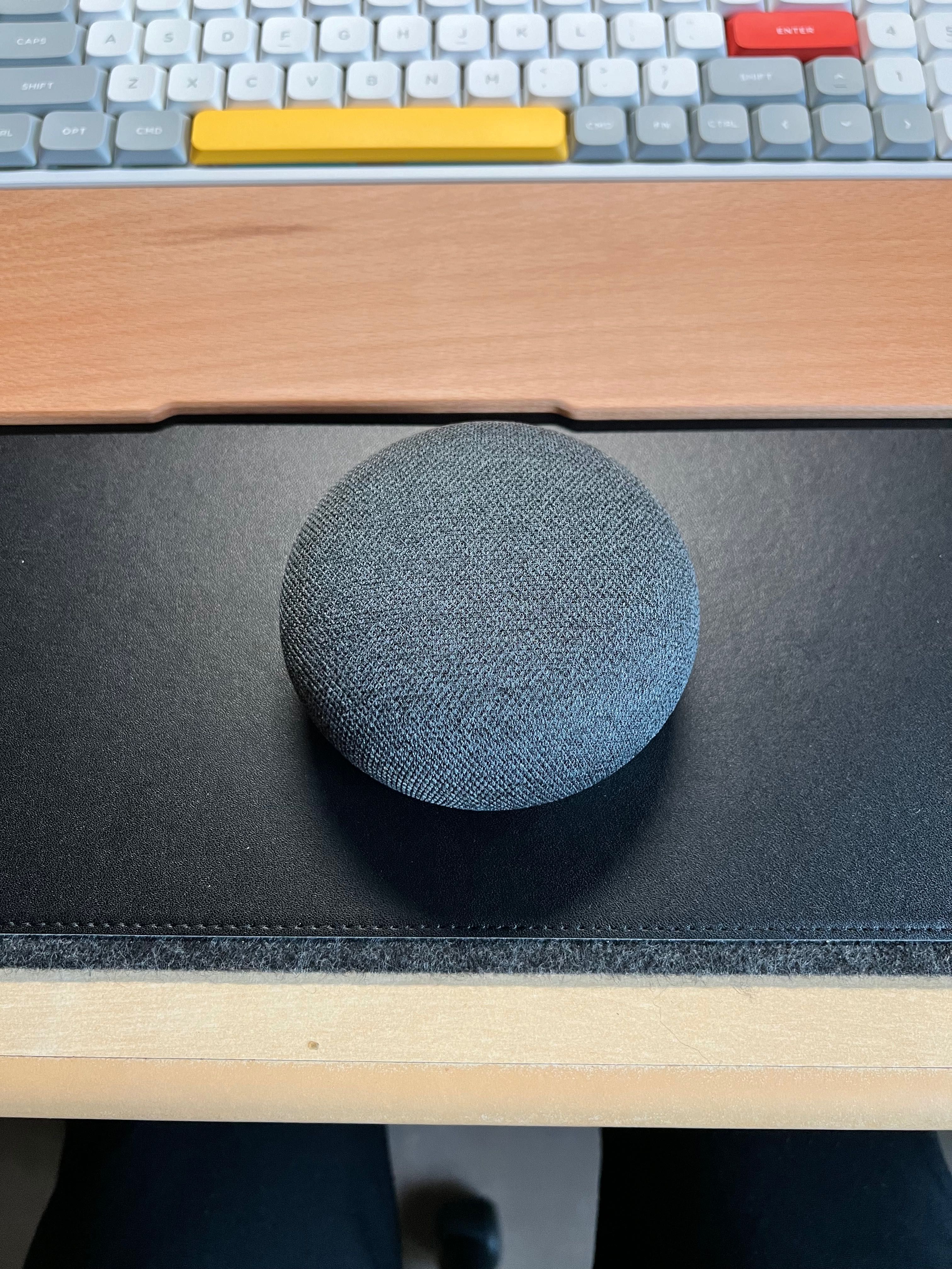 Google home mini