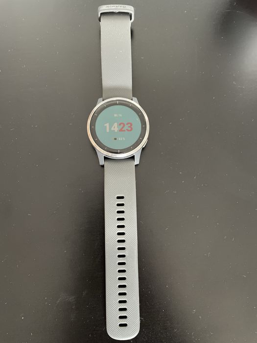 Garmin vivoactive 4