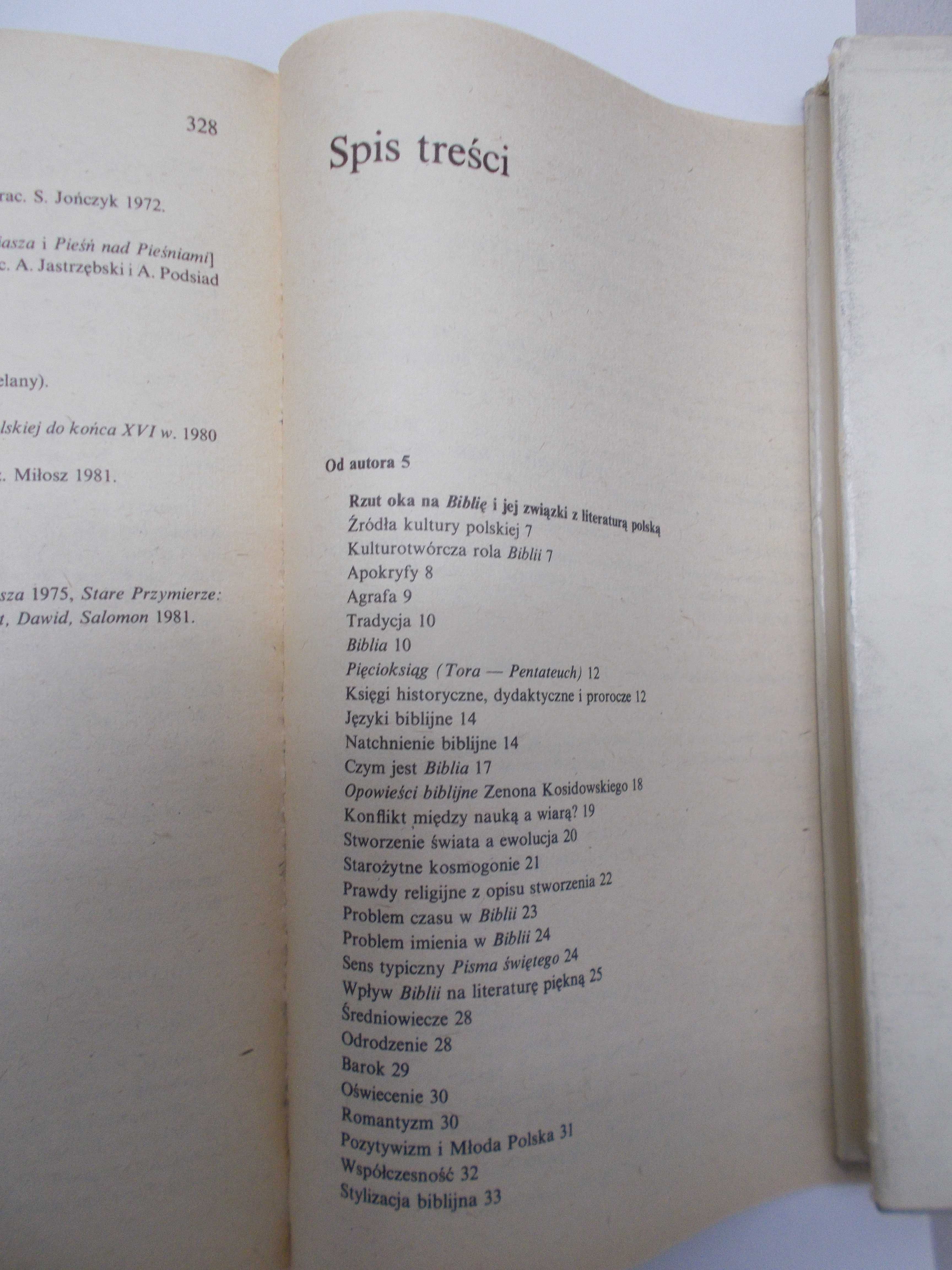 Kazimierz Bukowski - Biblia a literatura polska - literaturoznawstwo
