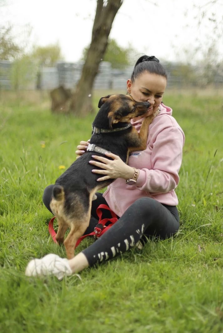 CHARLIE poleca się do adopcji